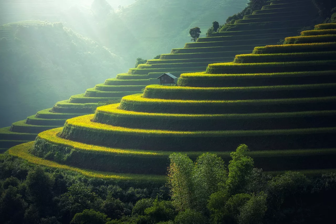 Top 5 villes Thaïlandaises pour expatriés : comparatif et conseils pratiques